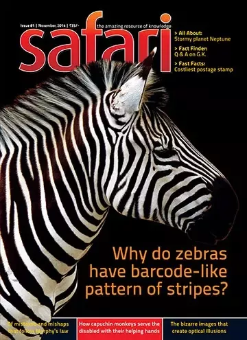 Safari magazine english pdf free download